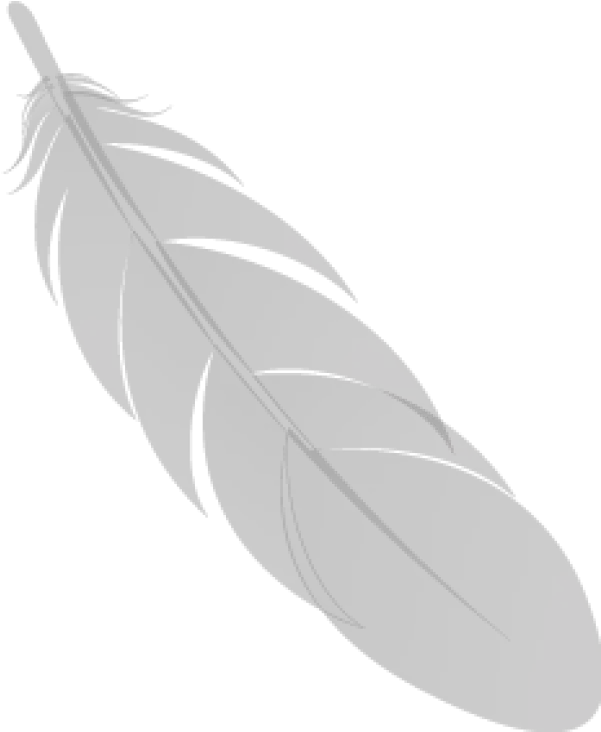  Feather Black Icon Png Image Images Download Solid Feather Icon Vector