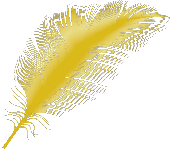  Transparent Yellow Feather Png Bird Gold Feather Png Feather Transparent Background