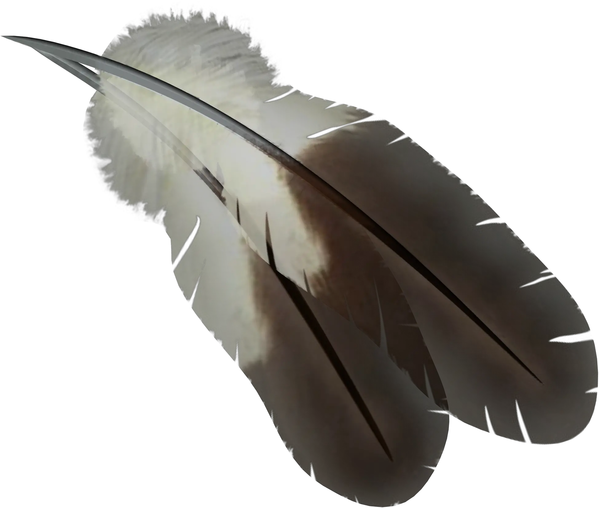  Feather Png Birds Feather Png Feather Png