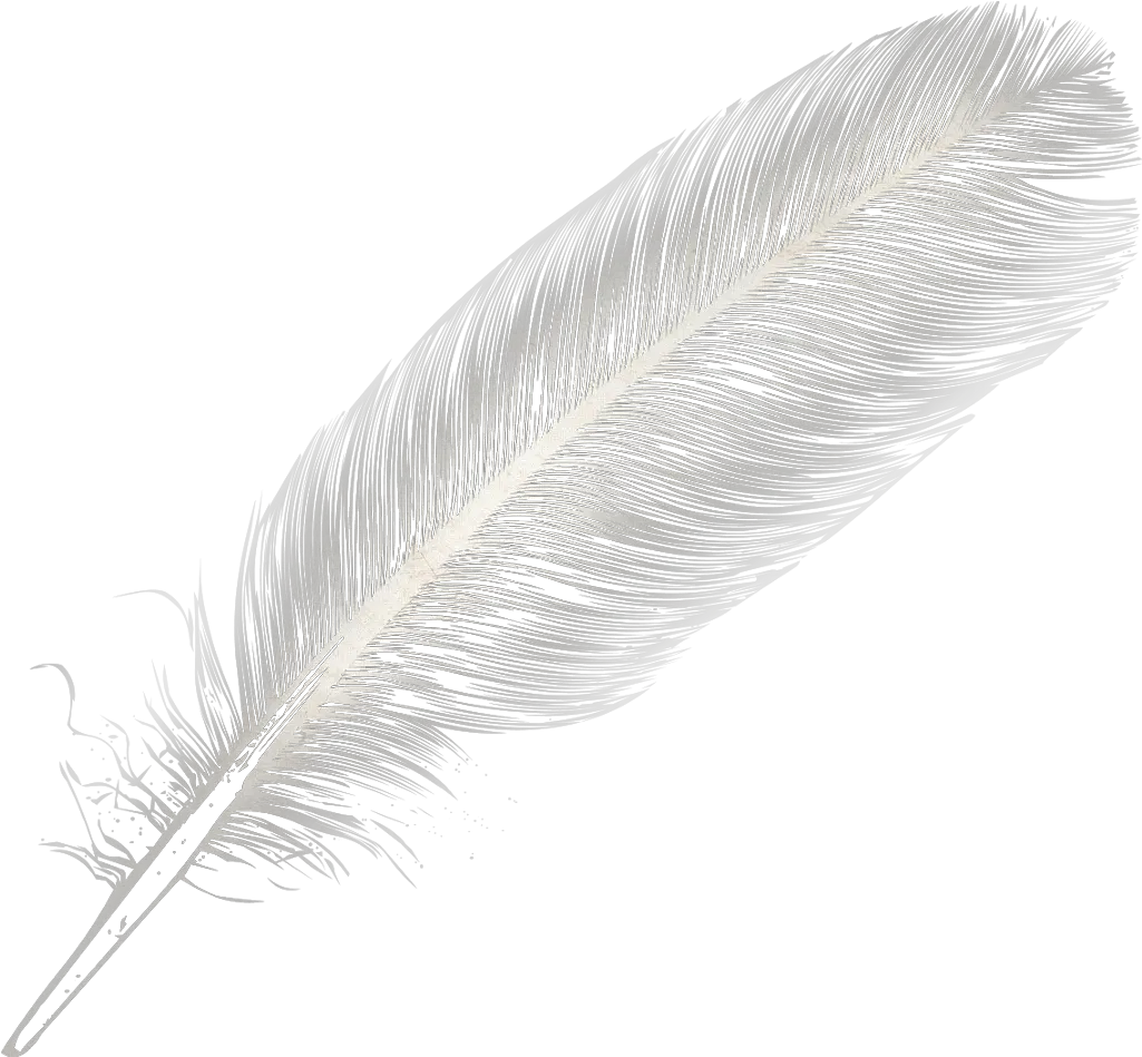  Feather Feather Alpha Png Feather Png