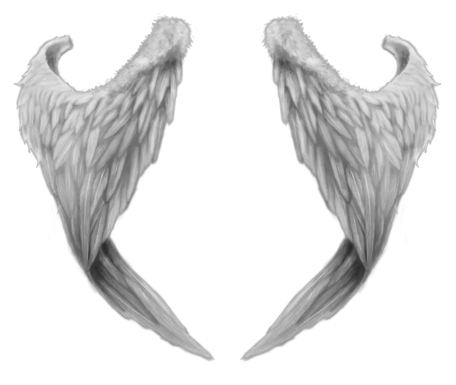  Angel Wings Png Cutout