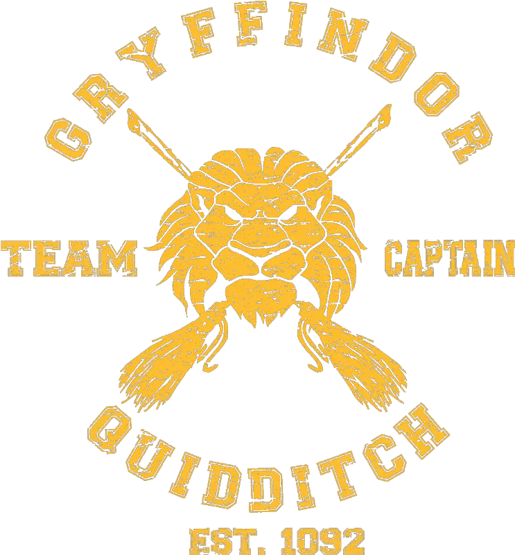  Gryffindor Quidditch Team Kids T Quidditch Harry Potter Logo Png Gryffindor Logo Png