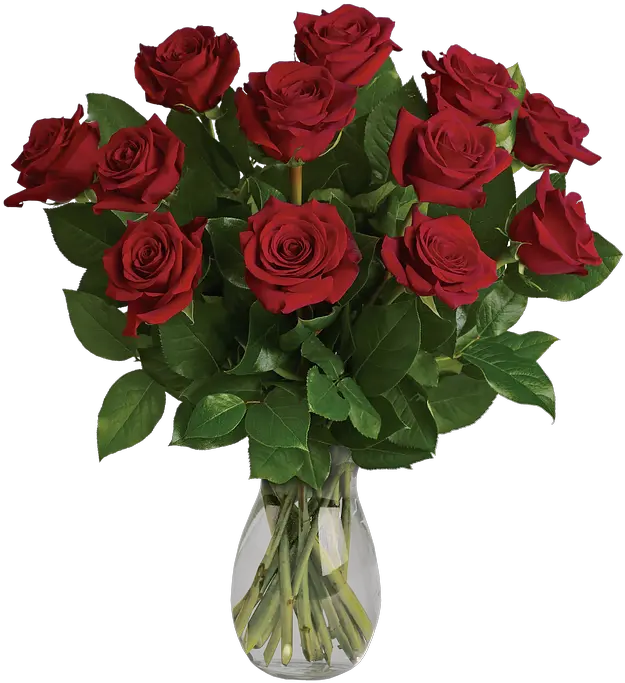  Flores Rosas Rojas Jarrón Red Roses At Home Png Rosas Rojas Png