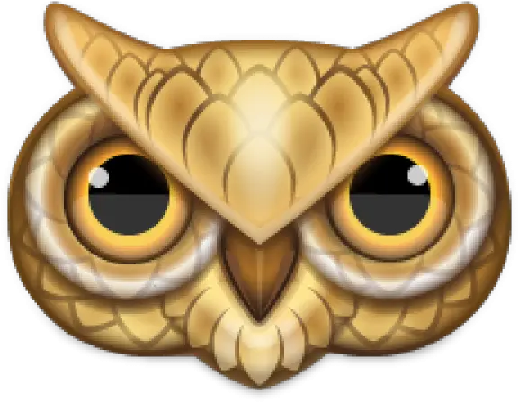  Owl Face Png Owl Icon 365164 Vippng Owl Face Cartoon Png Owl Icon