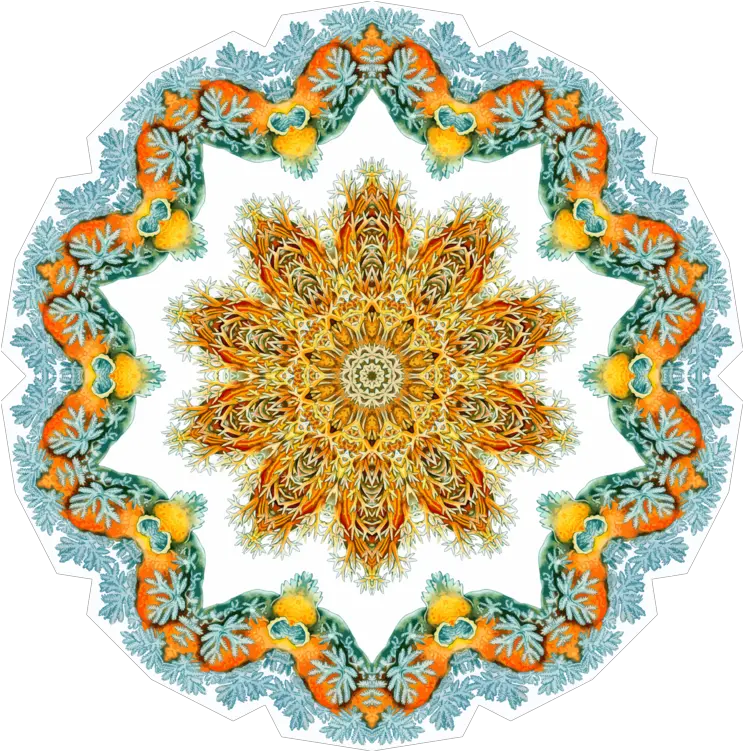  Paisley Transparent Png Image Ernst Haeckel Paisley Png