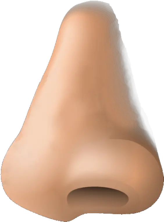  Human Nose Png Image Nose Png Nose Png