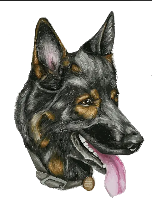  Pin By Pngsector Png German Shepherd Sketch Head Dog Head Png