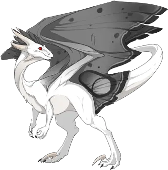  New Forum Show Me Your White Dragons Dragon Share Rainbow Galaxy Dragon Png White Dragon Png