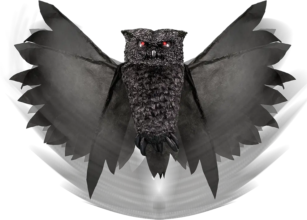  Wings Png Great Horned Owl Fang Png