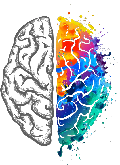  Alzheimeru0027s Solution Success Stories Team Sherzai Brain Colorful Brain Logo Png Brain Transparent Image