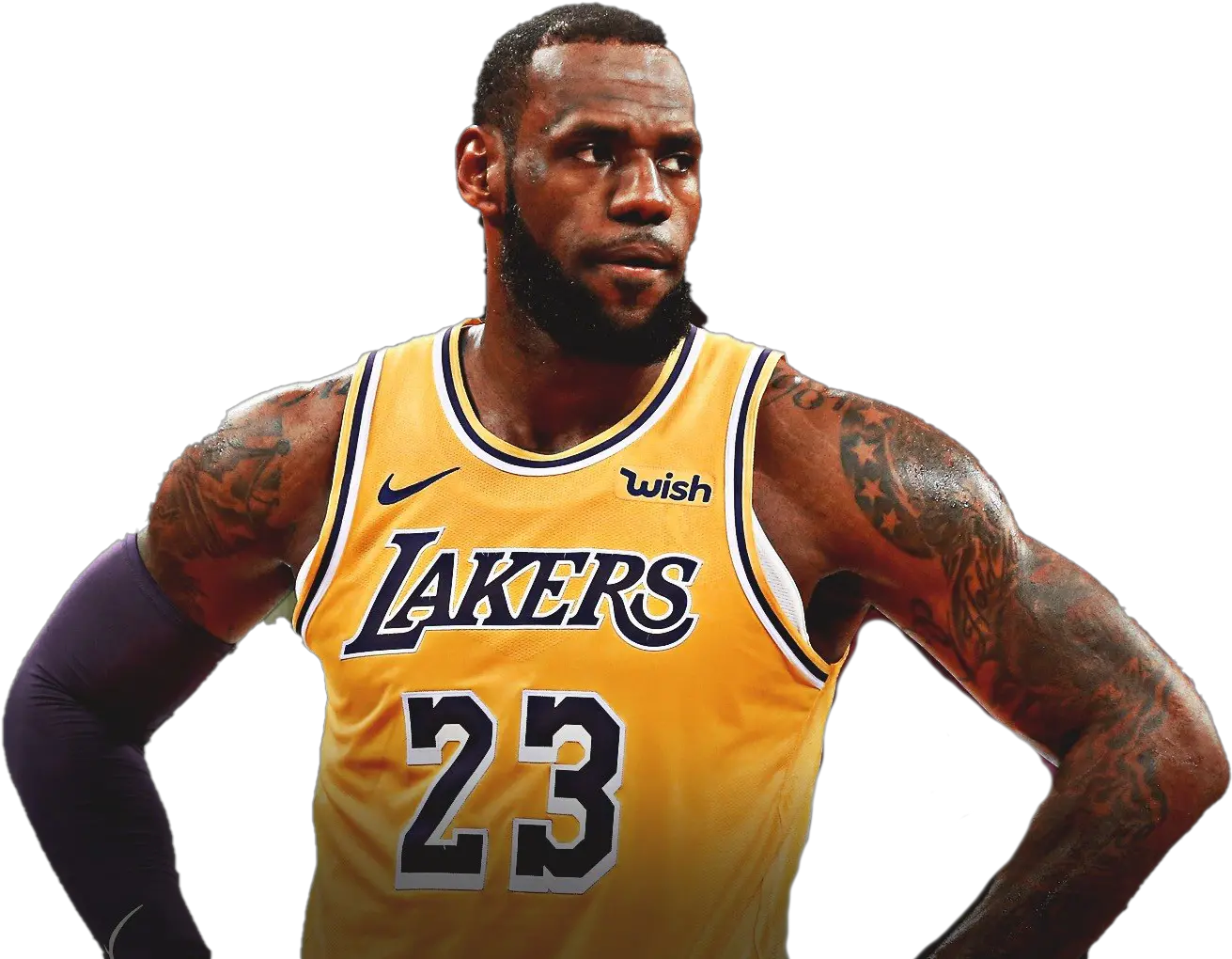  Lebron James Download Png Image Lebron James Lakers 2019 Png Lakers Png