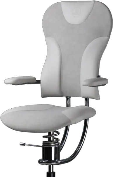  Office Chairs For Healthy Back Png Chair