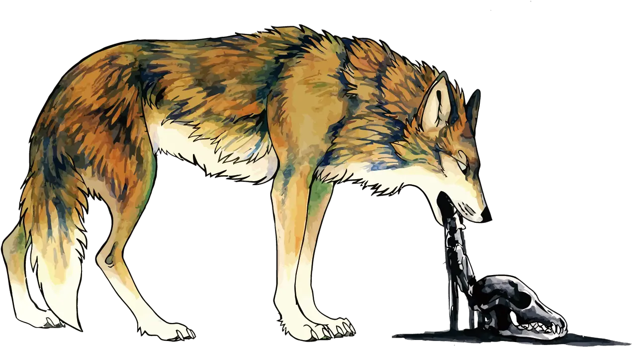  Download Coyote Dog Vomiting Illustration Ilustracion Coyote Puking Png Coyote Png