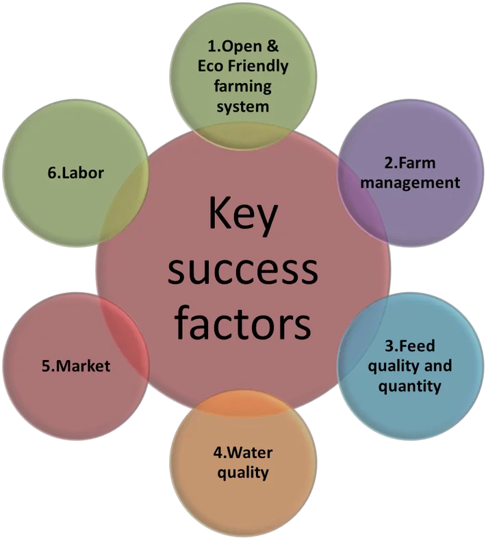  Download Key Success Factors Key Factors Of Market Success Png Success Factors Icon