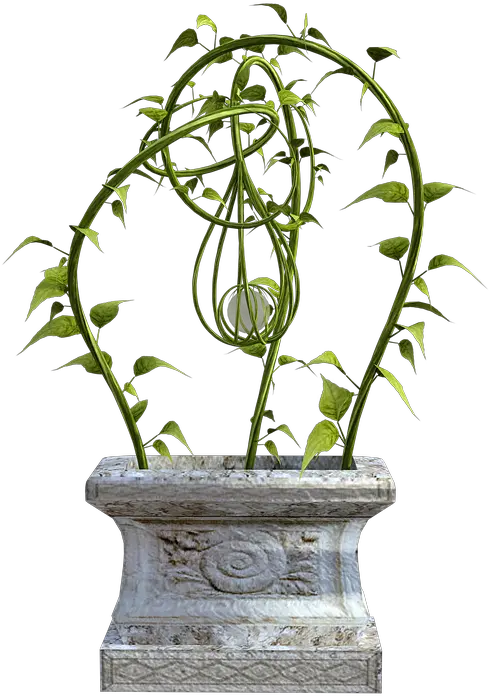  Vines Stone Ivy Pedestal Png Wall Vines Png