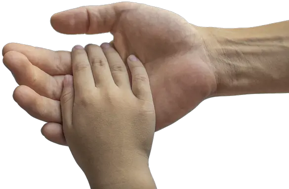  Hands Adult And Child Family Adult And Child Hand Png Hand Grabbing Png