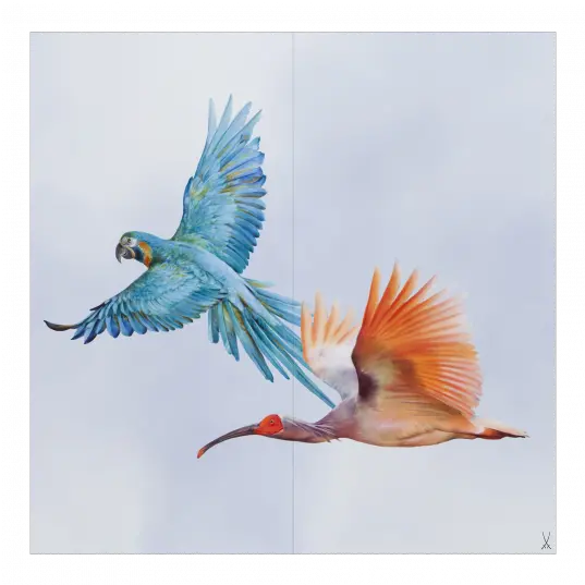  Meissen Flock Of Birds Wall Painting Macaw And Ibis Macaw Wall Painting Png Bird Flock Png