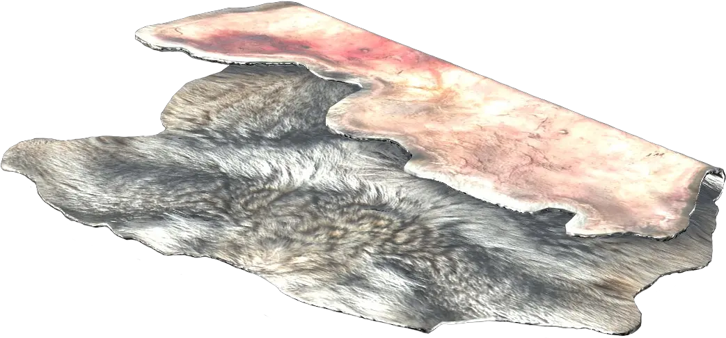  Wolf Pelt Dayz Wiki Hooded Seal Png Fur Png