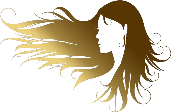  Tracys Essential Looks Black Hair Blow By Wind Png Hair Stylist Logo