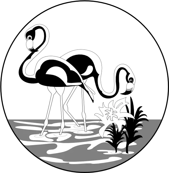  Black And White Flamingos Clip Art Vector Black And White Flamingo Vector Png Flamingo Clipart Png