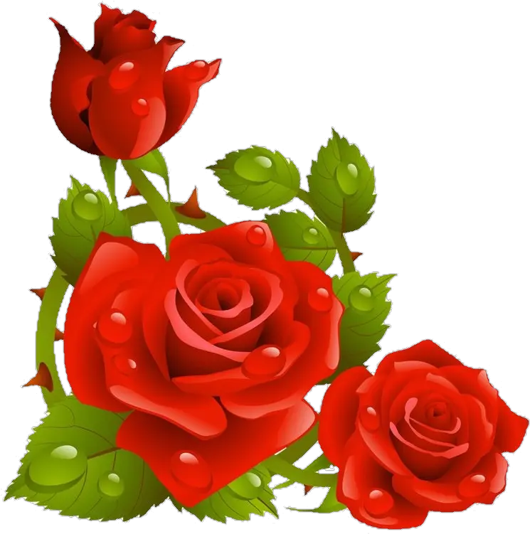  Rosas Rojas Sticker By Bribella Love Most Beautiful Flower Png Rosas Rojas Png