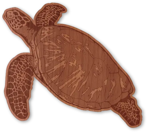  Download Hawksbill Sea Turtle Hawksbill Sea Turtle Png Sea Turtle Png