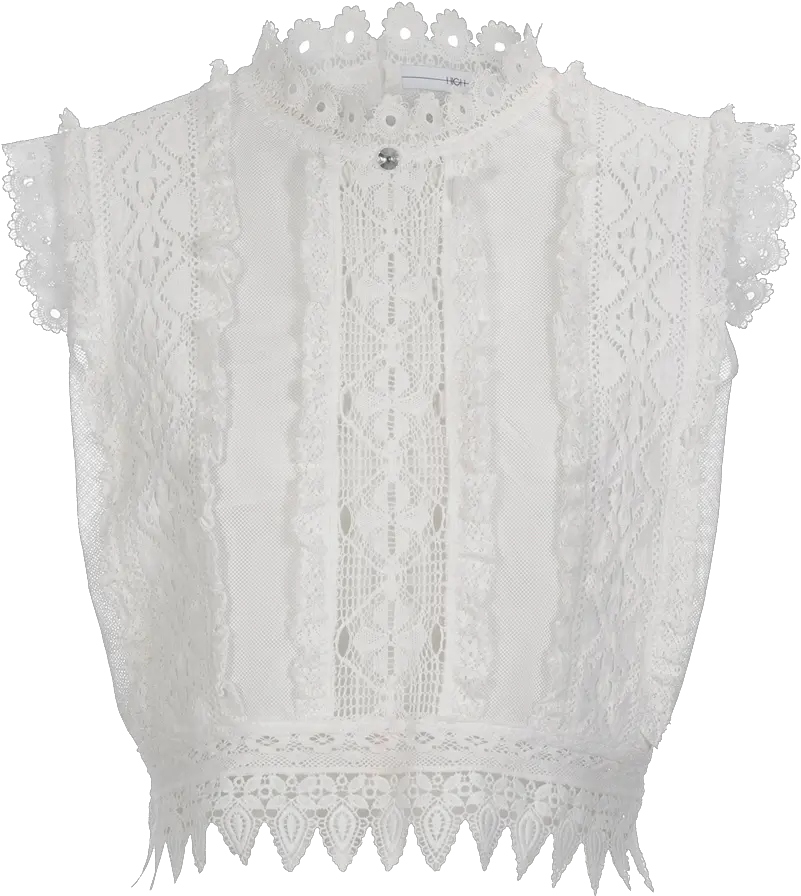  Lust For Sleeveless Top In Ribbon Lace And Mesh Crochet Png Lace Pattern Png