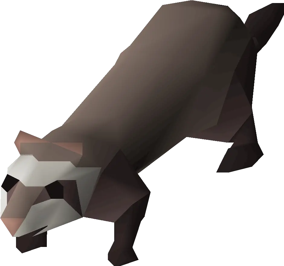  Ferret Runescape Ferret Png Ferret Png