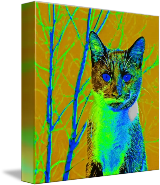  Got Milk Kitty By Rose Cohoon Domestic Cat Png Got Milk Png