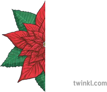  Half Poinsettia Flower Leaves Plant Christmas Xmas Festive Illustration Png Christmas Leaves Png