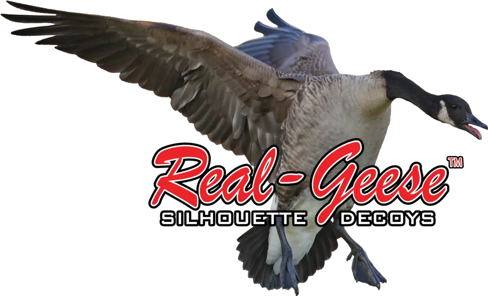  Sponsors U2014 Randy Eyre Outdoors Goose Png Goose Png