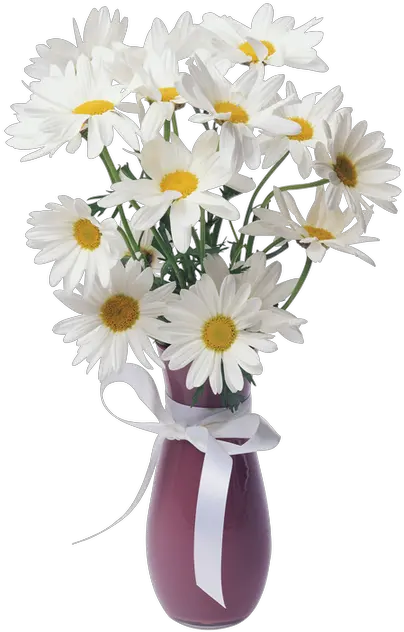  Daisies Transparent Vase Bouquet Ga 1588643 Png Images Transparent Vase Of Flowers Daisy Transparent Background