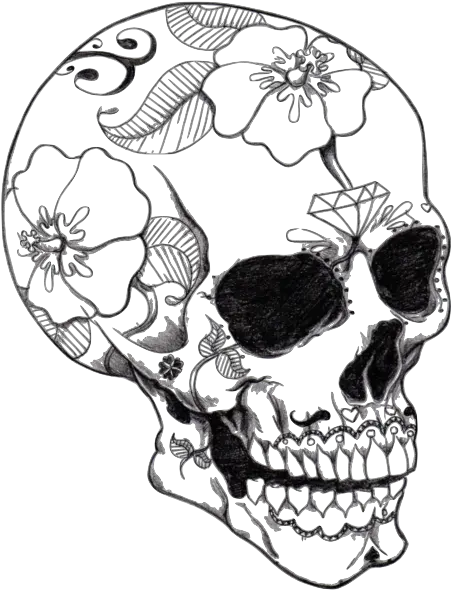  Realistic Sugar Skull Drawing Free Adult Coloring Pages Png Skull Drawing Png