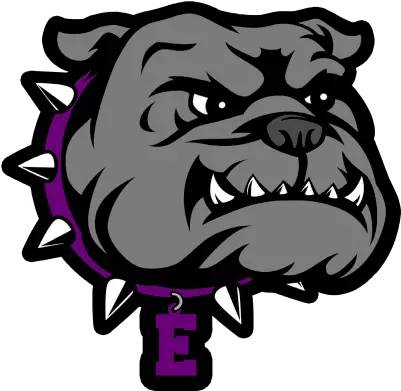  Bulldog Png And Vectors For Free Download Dlpngcom Everman High School Mascot Bull Dog Png