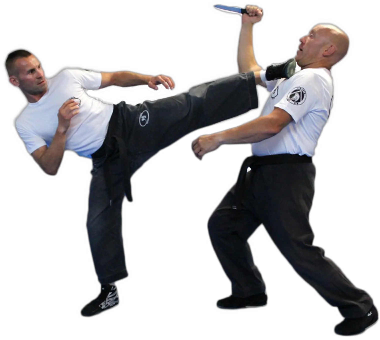  Download 17 Mb Png Self Defence Png Maga Png