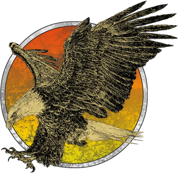  Download Eagle Flying Eagle Png Image With No Background Flight Eagle Drawing Eagle Flying Png