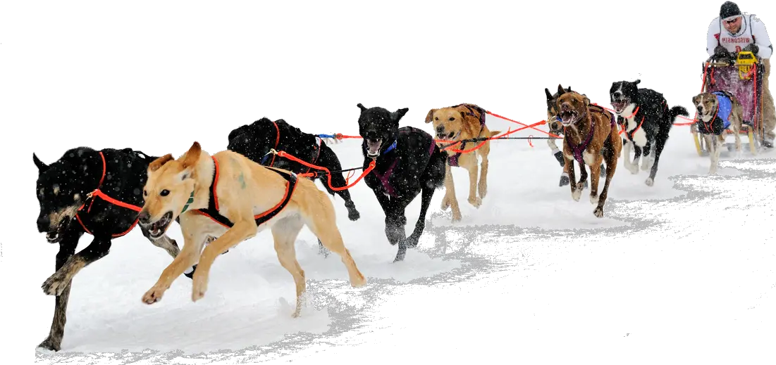  Png Sled Transparent Dog Sled Png Sleigh Png