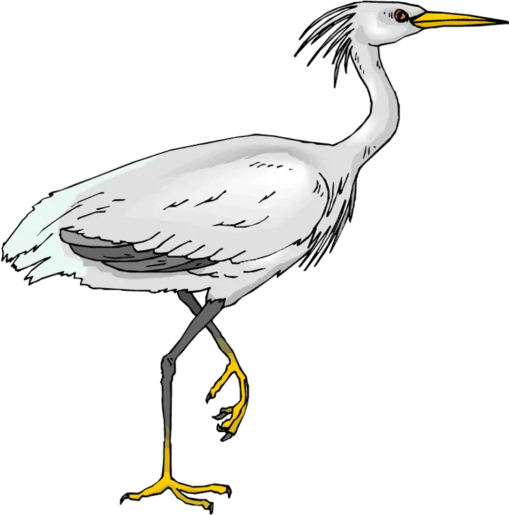  Download Picture Crane Bird Clipart White Heron Clip Art Png Crane Bird Png