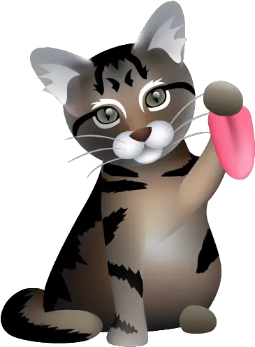  Download Never Miss A Moment Cat Got Your Tongue Png Tongue Emoji Png