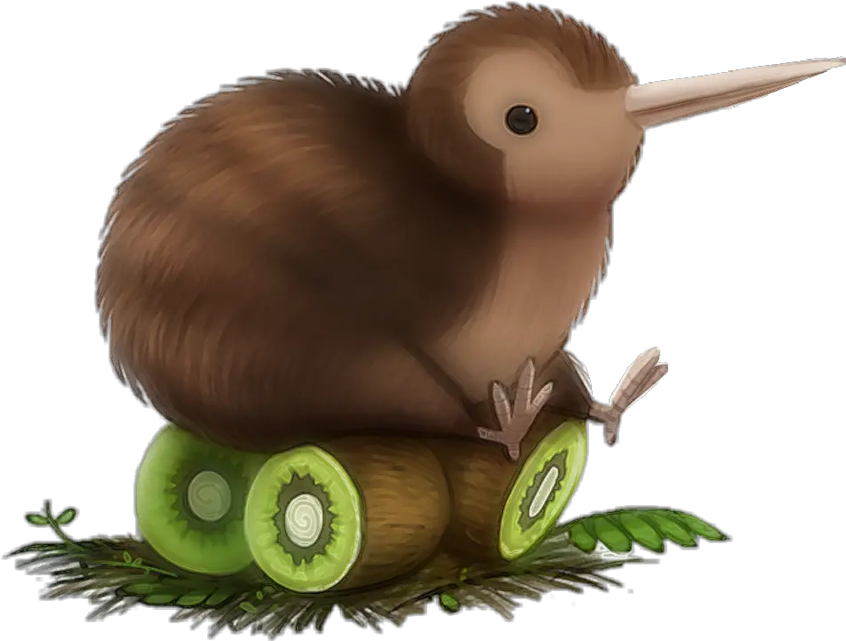  Kiwi Bird Sitting Kiwi Bird Kiwi Bird Png
