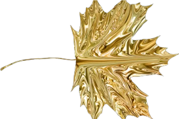  Gold Leaves Png Transparent Images Transparent Maple Leaf Gold Gold Leaves Png