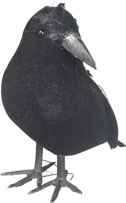  Crow Png Free Pic