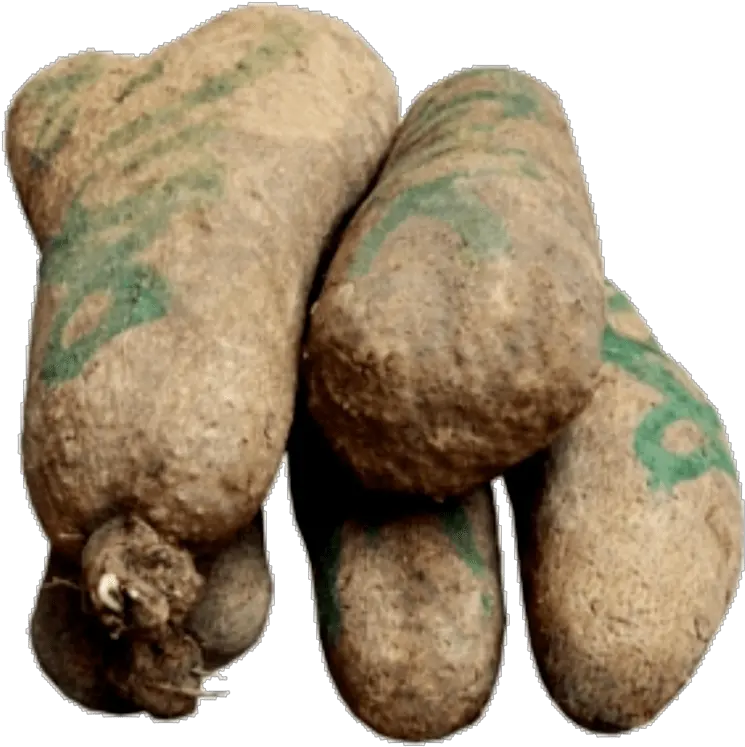  Yam Tubers Of Yam Png Yam Png