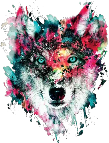  Wolf Face Colourful Png