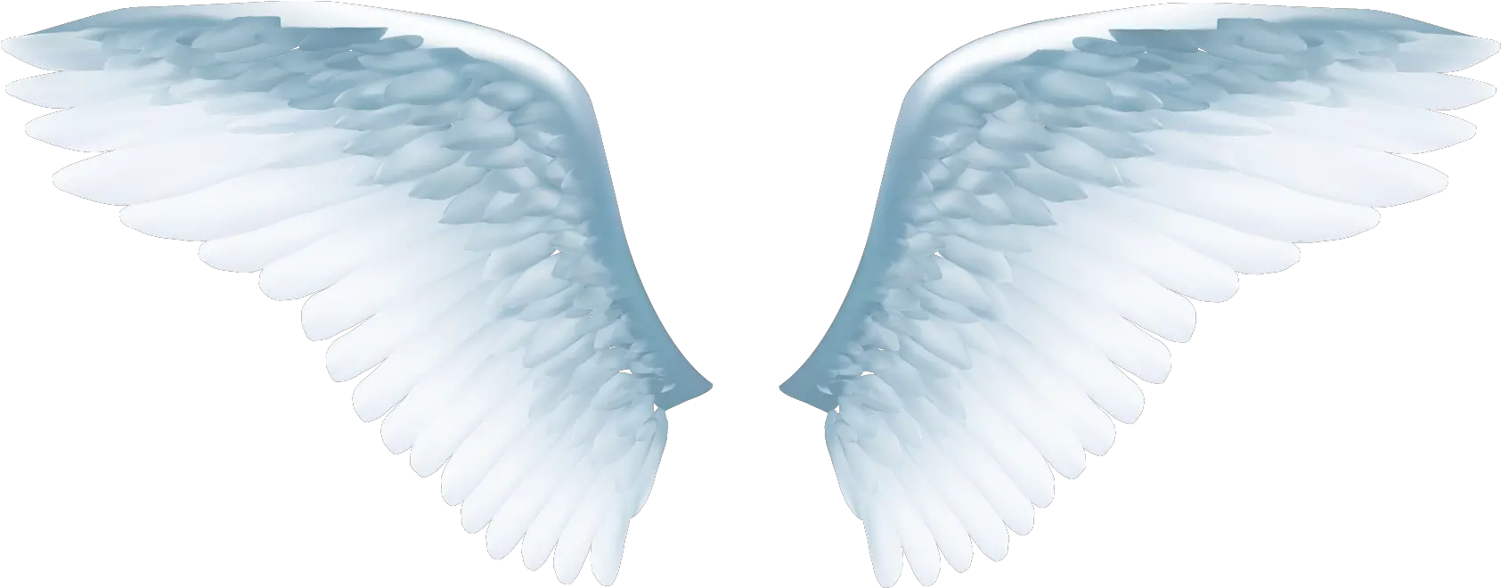  Download White Angel Wings Png White Angel Wings Png Wings Png