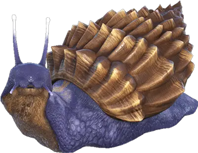  Achatina Dododex Ark Survival Evolv 2775217 Png Ark Survival Evolved Achatina Ark Png