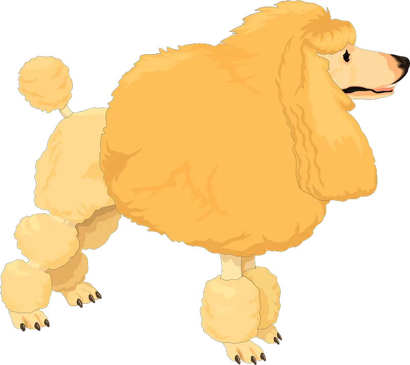  Clipart Dog Clip Art Png Poodle Png