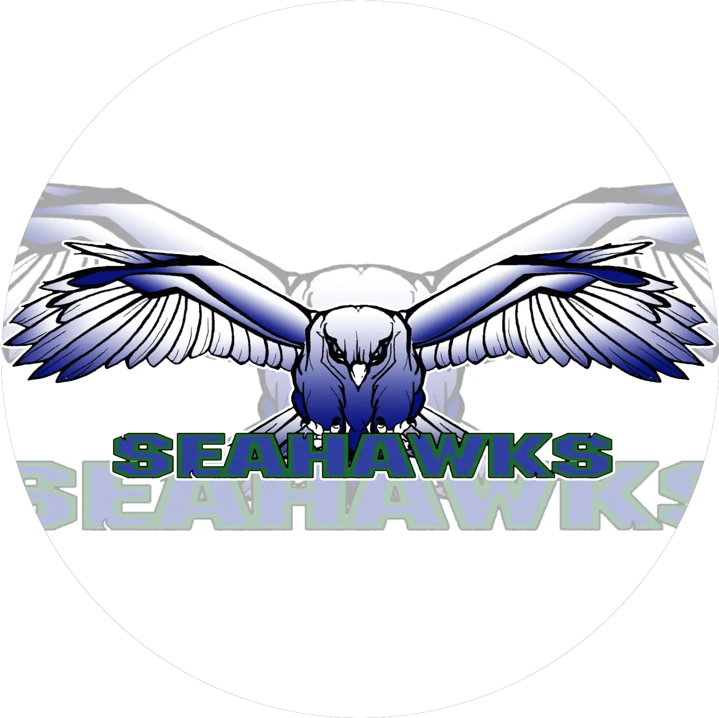  South Lakes High School Cancellations Png Seahawk Logo