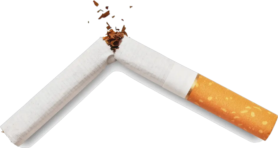  Home Quit Big Tobacco Broken Cigarette Png Tobacco Png