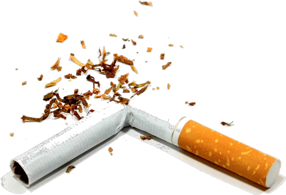  Cigarette Icon Clipart Broken Cigarette Png Tobacco Png